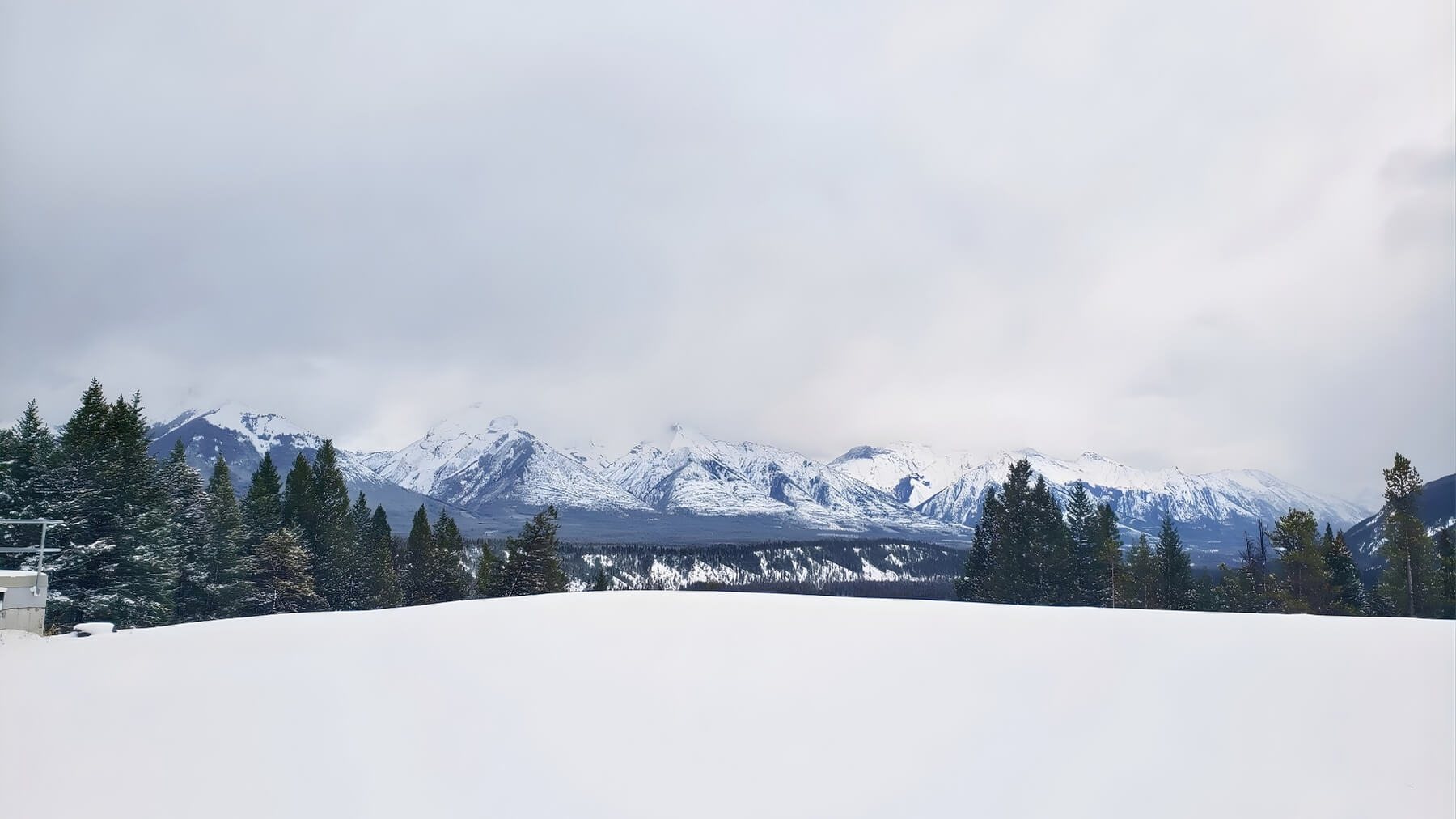 Snow-covered mountains and evergreen forest in Banff, Alberta, under a cloudy winter sky.