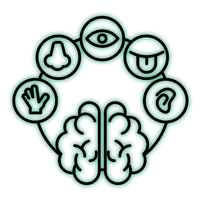 Sensory-Friendly Textures